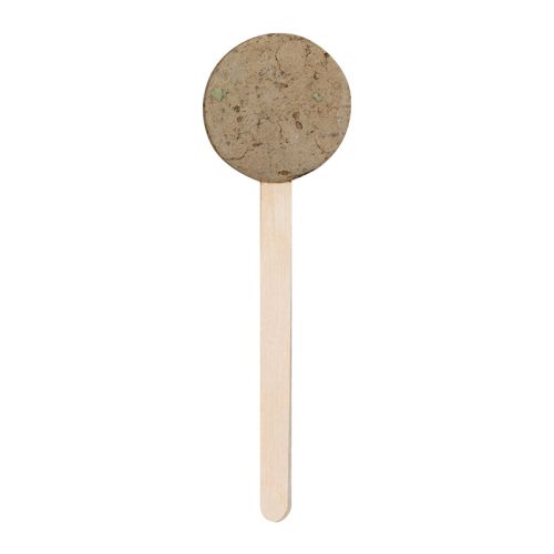 Lollipop with flowers - Image 2